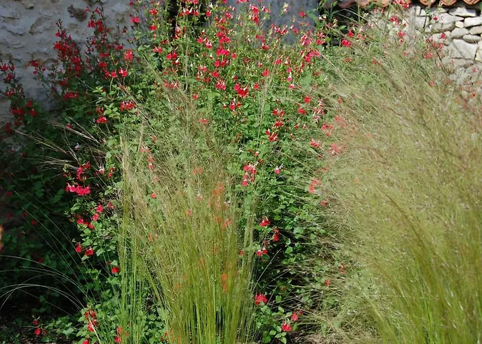 Petit En Braconne * La Rochette (Charente)